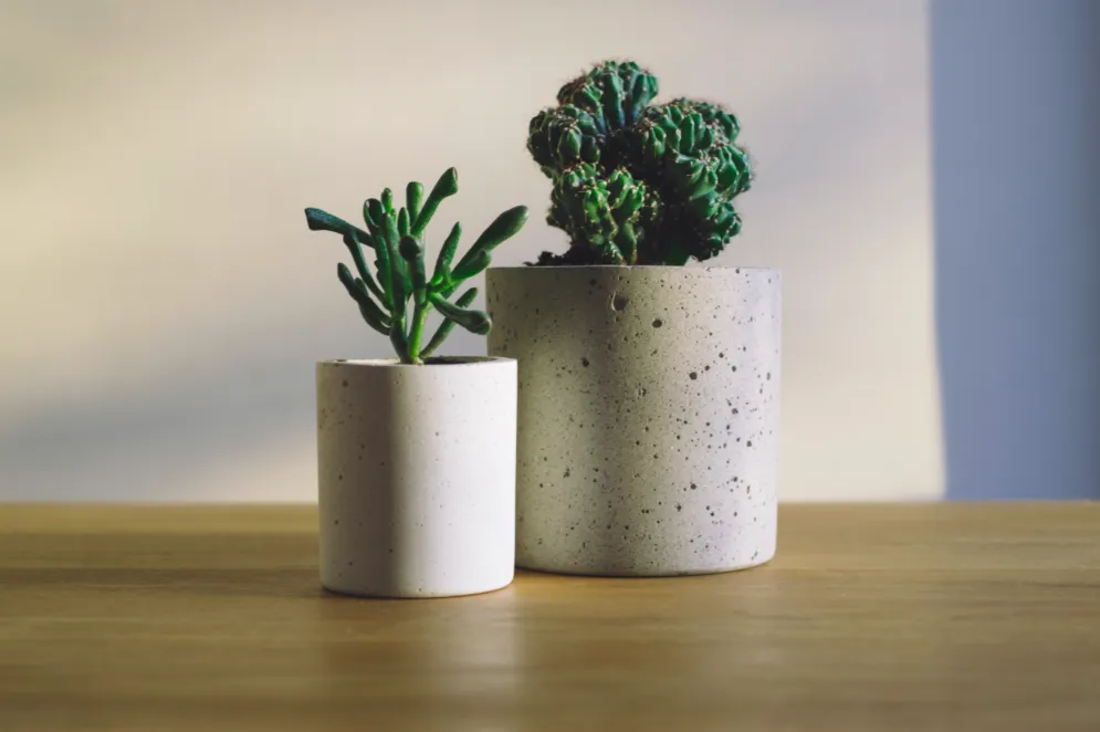 Dekoratives Bild des Dienstes Gruppenberatung Stimme & Prävention