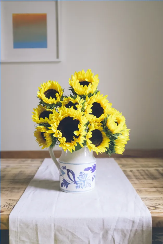 Dekoratives Bild des Dienstes Coaching Sprachförderung zu Hause