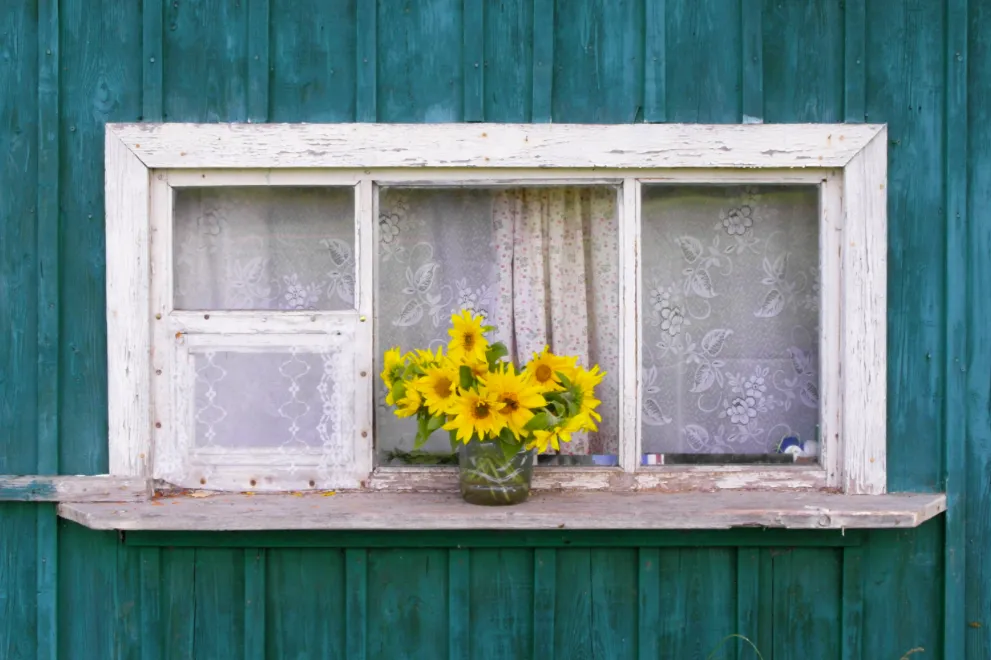 Dekoratives Bild des Dienstes Coaching der Aussprache