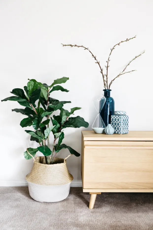 Dekoratives Bild des Dienstes Coaching deiner Präsentationsstimme