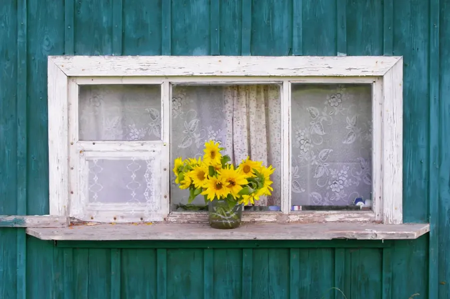  Dekoratives Bild des Dienstes Coaching der Aussprache